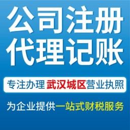 武漢青山代辦公司營業執照、工商注冊與會計服務全攻略